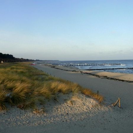 Hafenstr_ 41 A Haus Marienlinde Villa Zingst Eksteriør bilde
